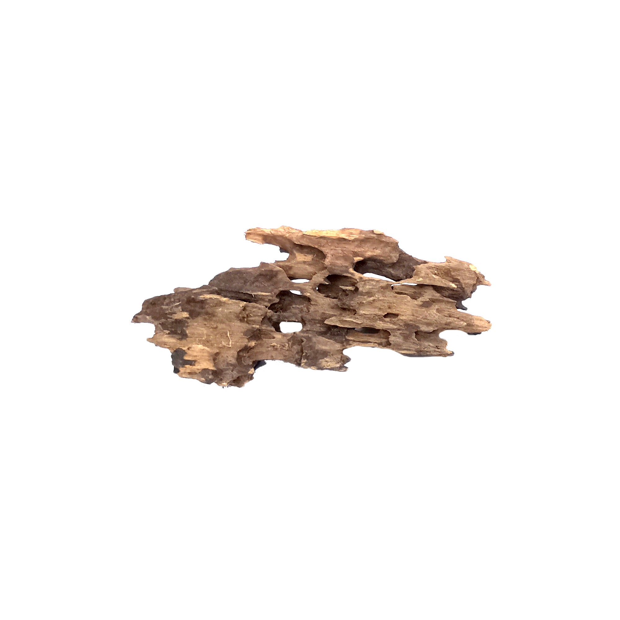 Bioscape Shrimp Wood Large 30 - 40cm