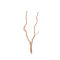 Bioscape Long Spider Wood 60cm