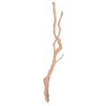 Bioscape Long Spider Wood 90cm 22 per Box