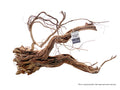 Bioscape Spider Vine 20kg