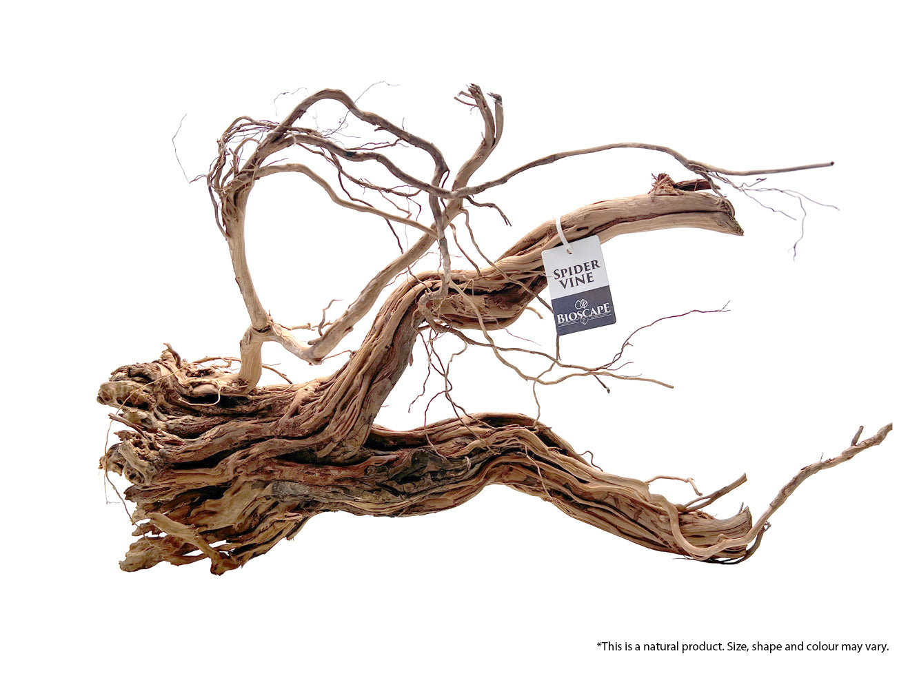 Bioscape Spider Vine 20kg