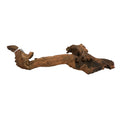 Bioscape Amazon Wood M 45 - 60cm