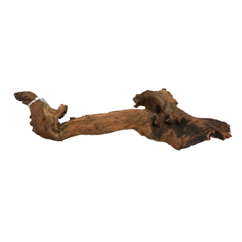 Bioscape Amazon Wood M 45 - 60cm