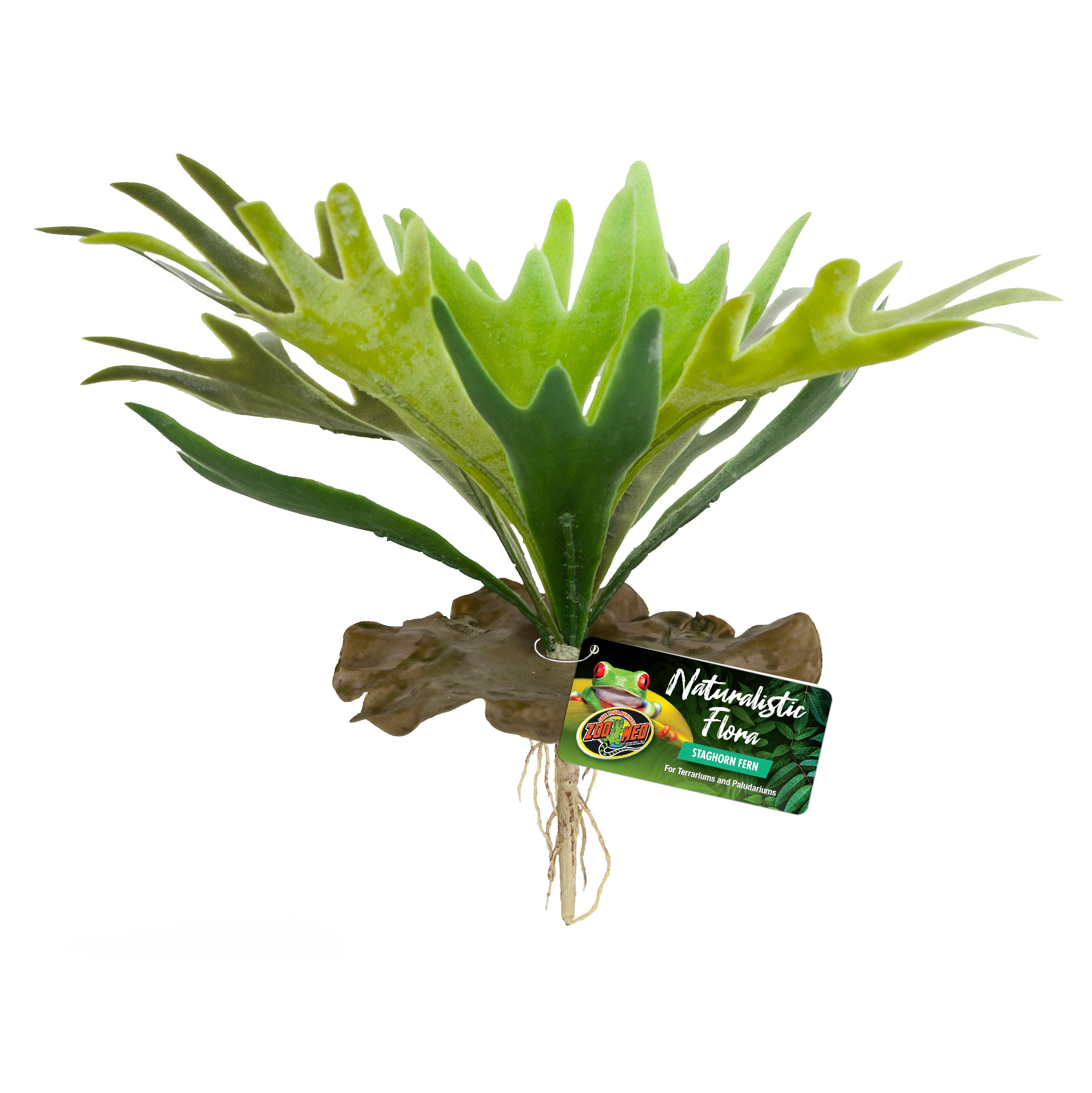 Zoo Med Staghorn Fern