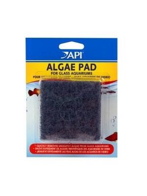 API Algae Pad for Glass