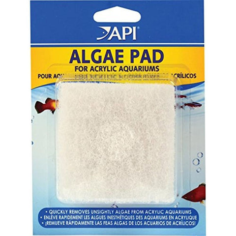 API Algae Scraper for acrylic aquariums