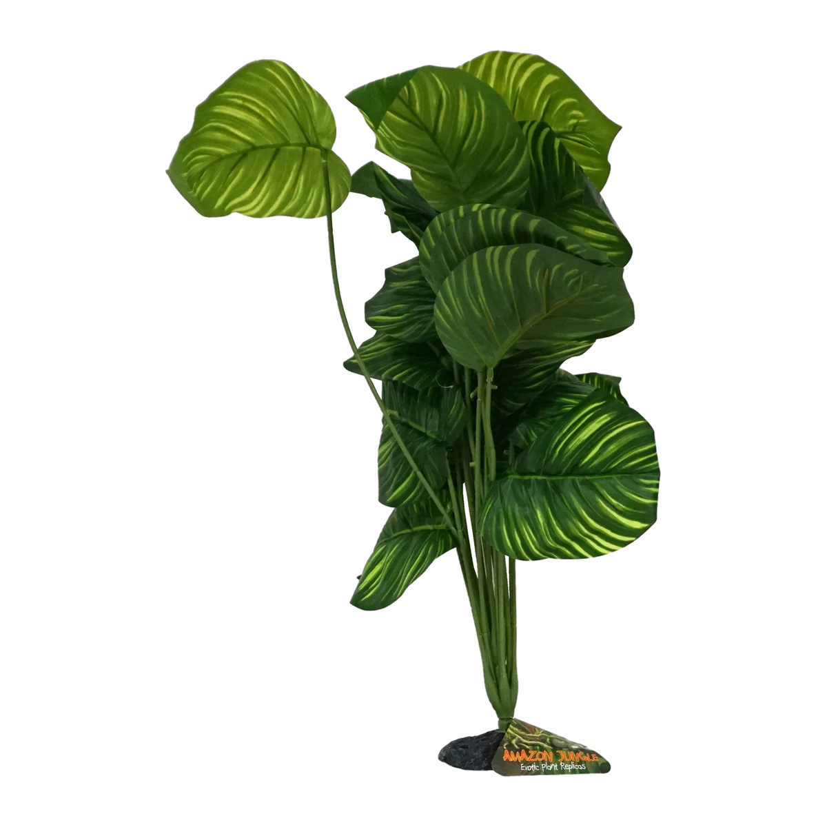 Apple Leaf Plant XL 45-50cm