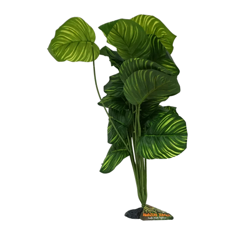 Apple Leaf Plant XL 45-50cm