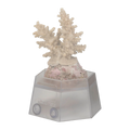 Aqua Medic Coral Holder