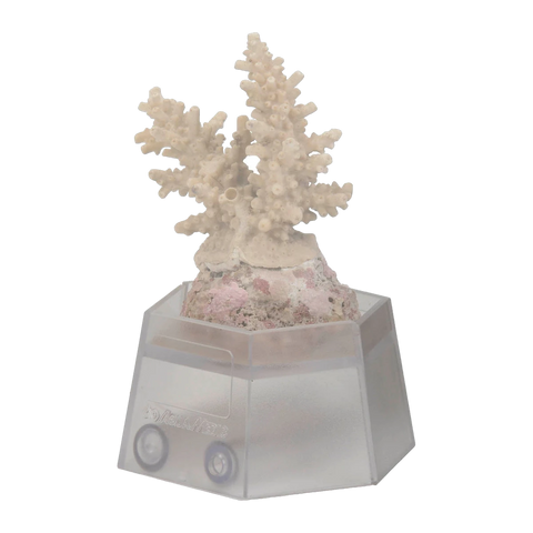Aqua Medic Coral Holder