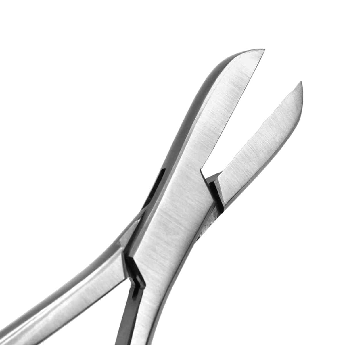 Aquavitro Coral Cutter 18cm