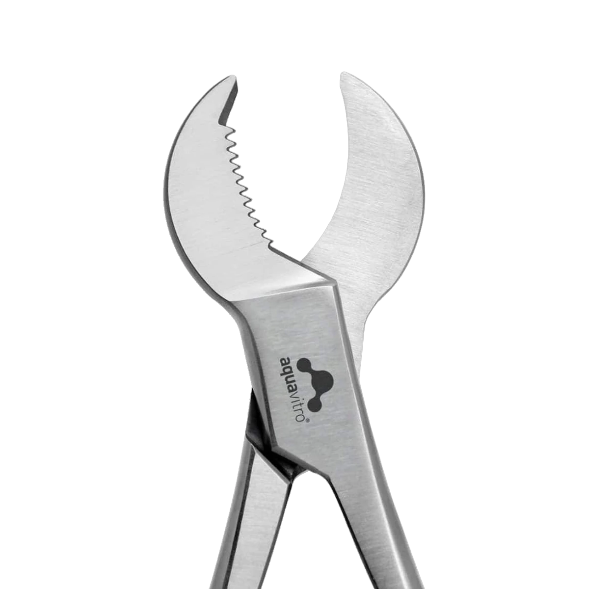 Aquavitro Crescent Coral Cutter 19cm