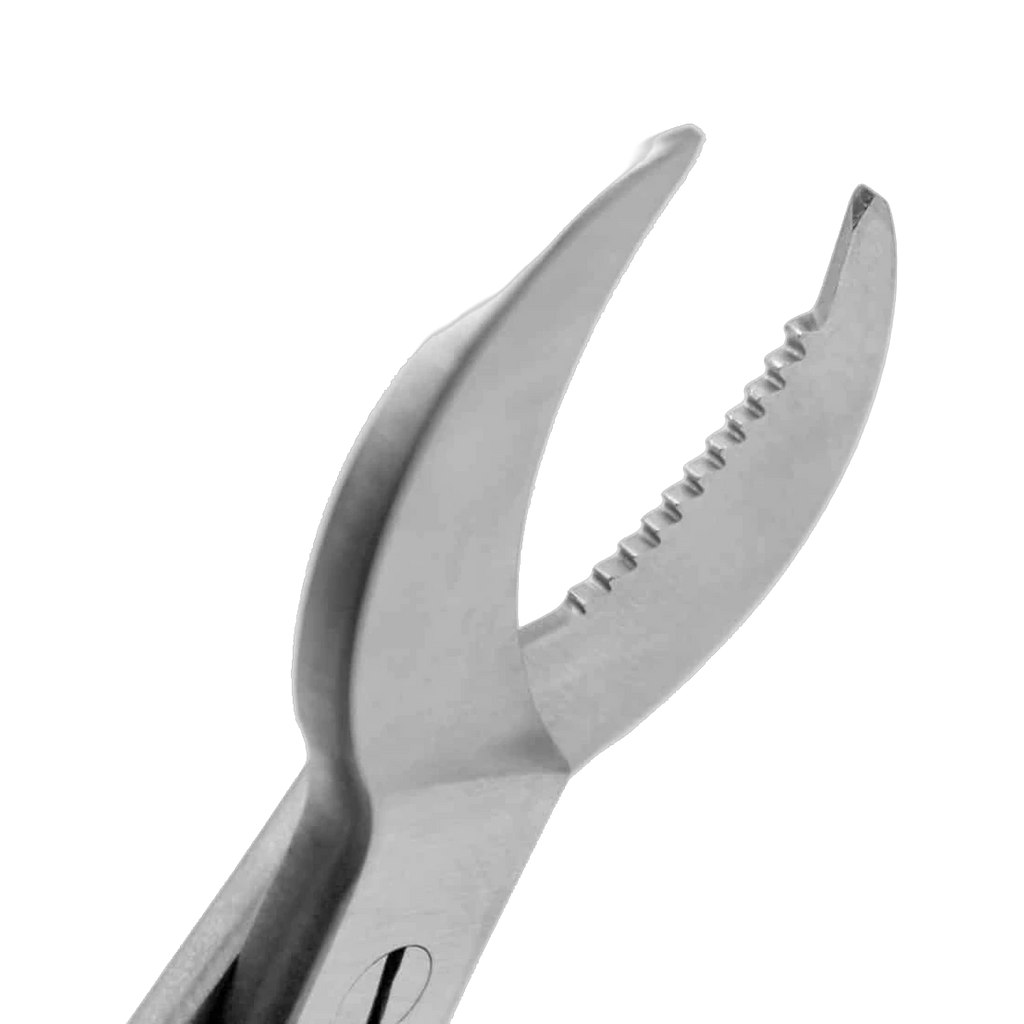 Aquavitro Crescent Coral Cutter 19cm