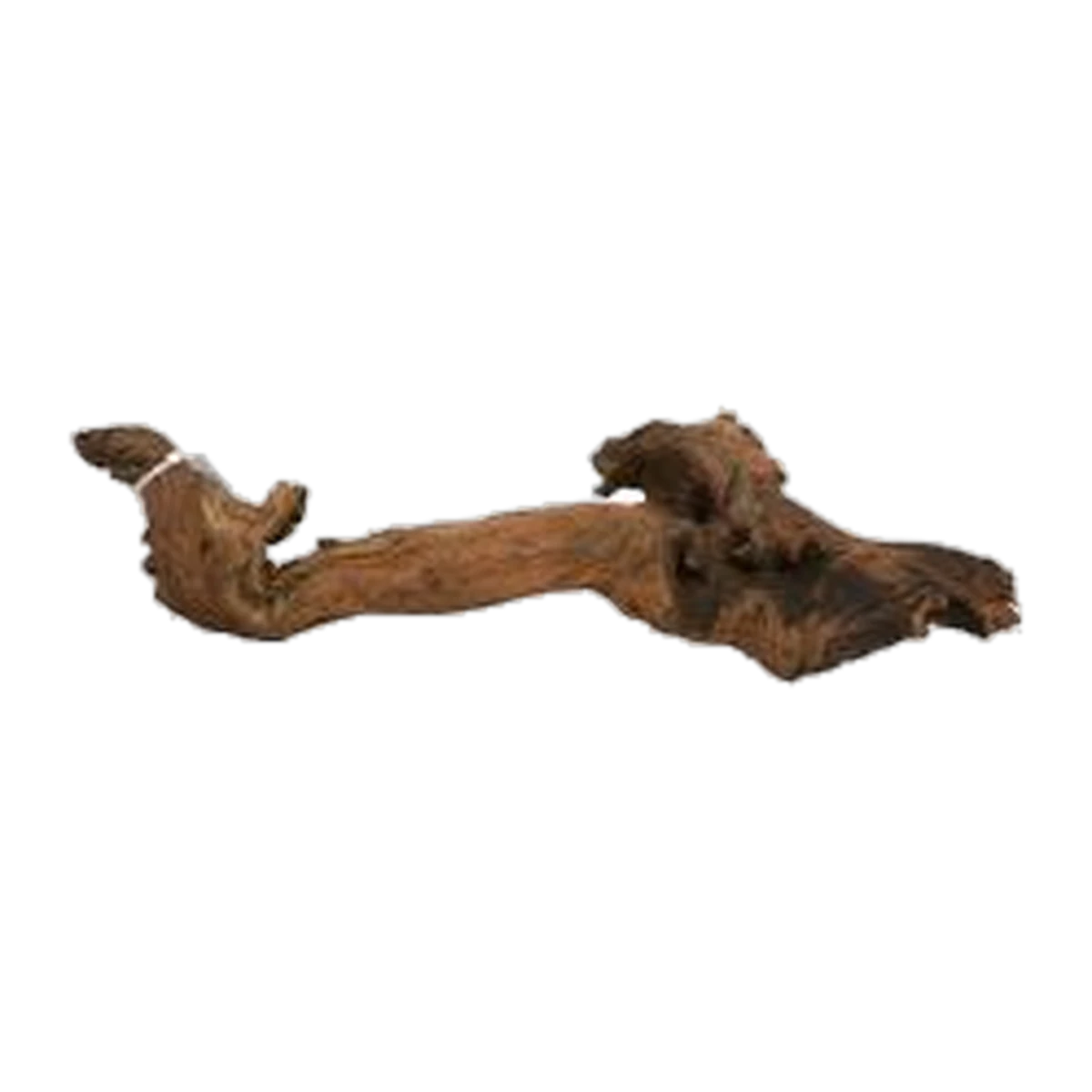Bioscape Amazon Wood M 45 - 60cm