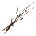 Bioscape Amber/Gold Spider Roots Medium 20 - 30cm