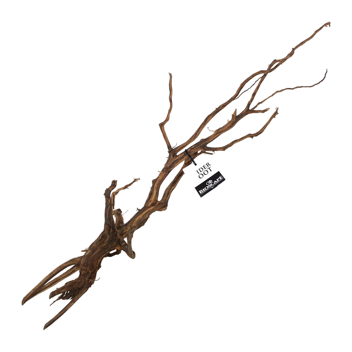 Bioscape Amber/Gold Spider Roots Medium 20 - 30cm