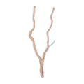 Bioscape Long Spider Wood 60cm