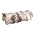 Bioscape Reptile Birch Hide 32.5 x 14 x 8cm Large