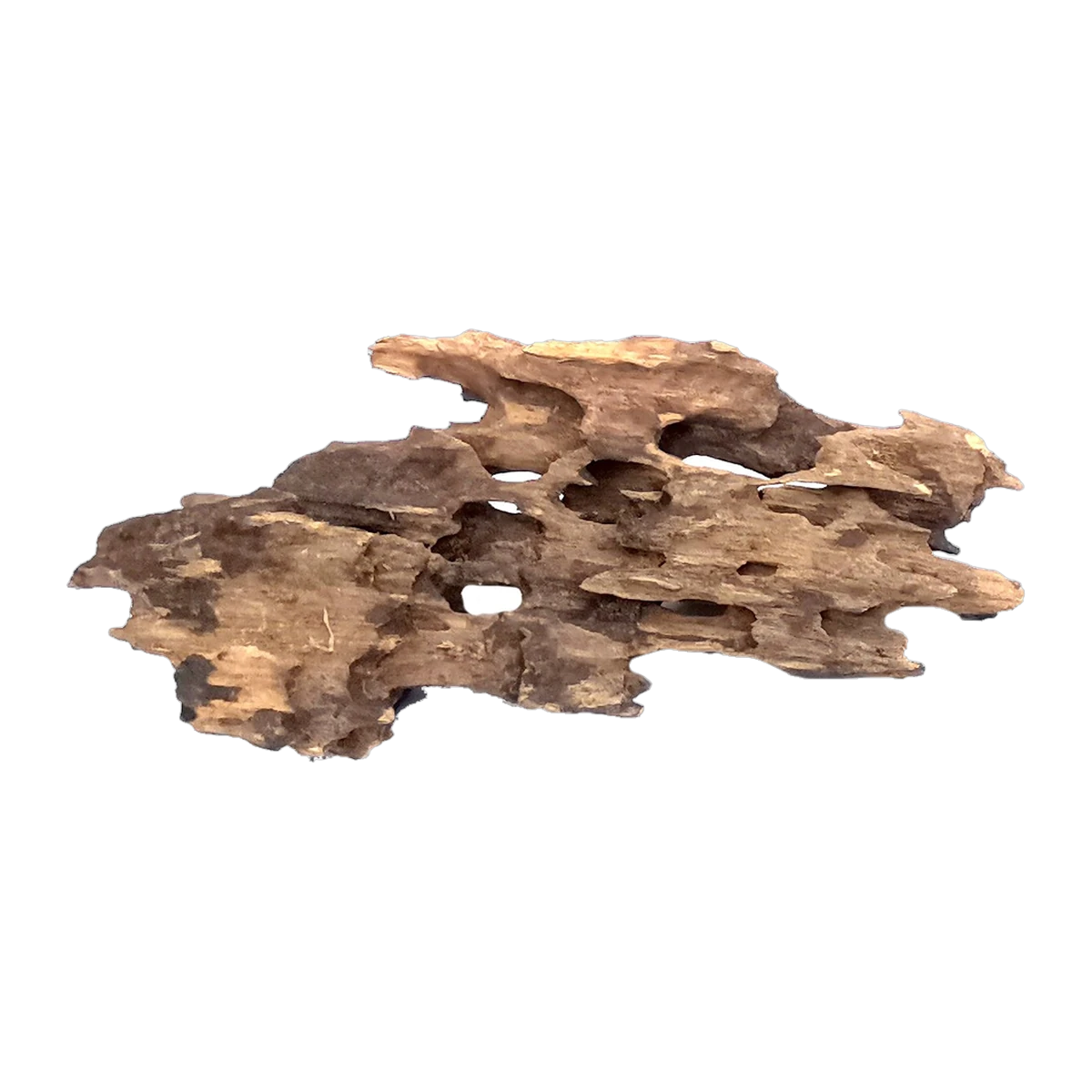 Bioscape Shrimp Wood Large 30 - 40cm
