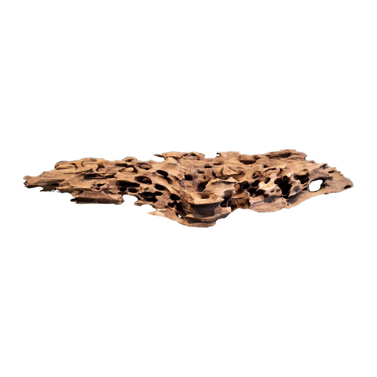 Bioscape Shrimp Wood XLarge 40 - 50cm 6 Pieces
