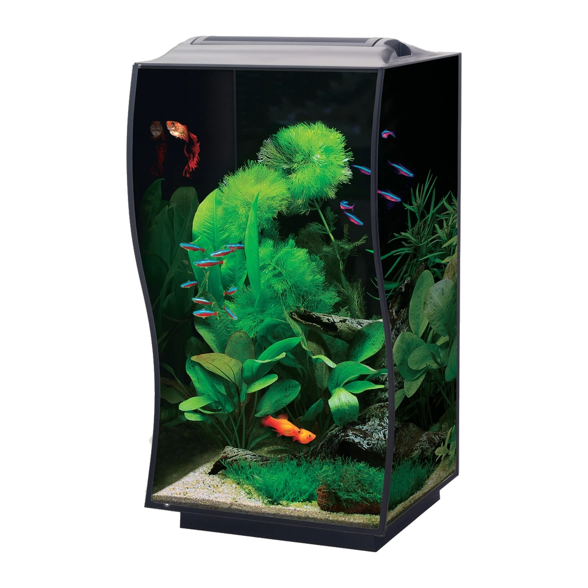 Bioscape CURVE Nano Aquarium Black 50 x 36 x 36cm