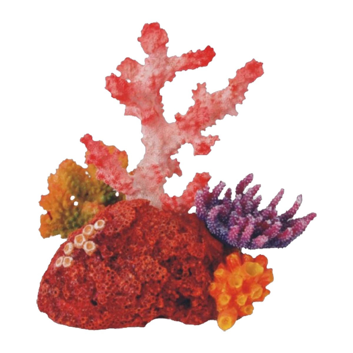 Bioscape Fantasy Coral Garden 16 x 15cm