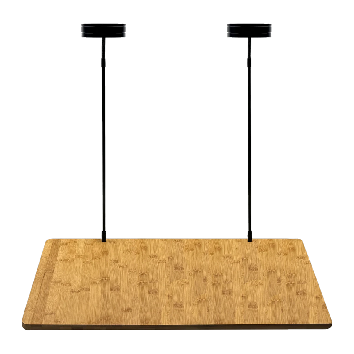 Bioscape LED Landscape Duel Bamboo Base 9w x 2