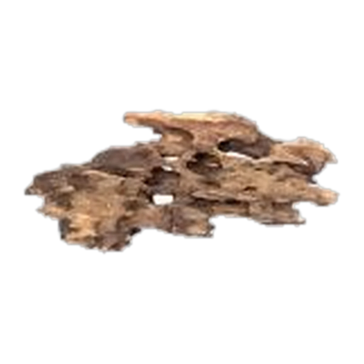 Bioscape Shrimp Wood Large
