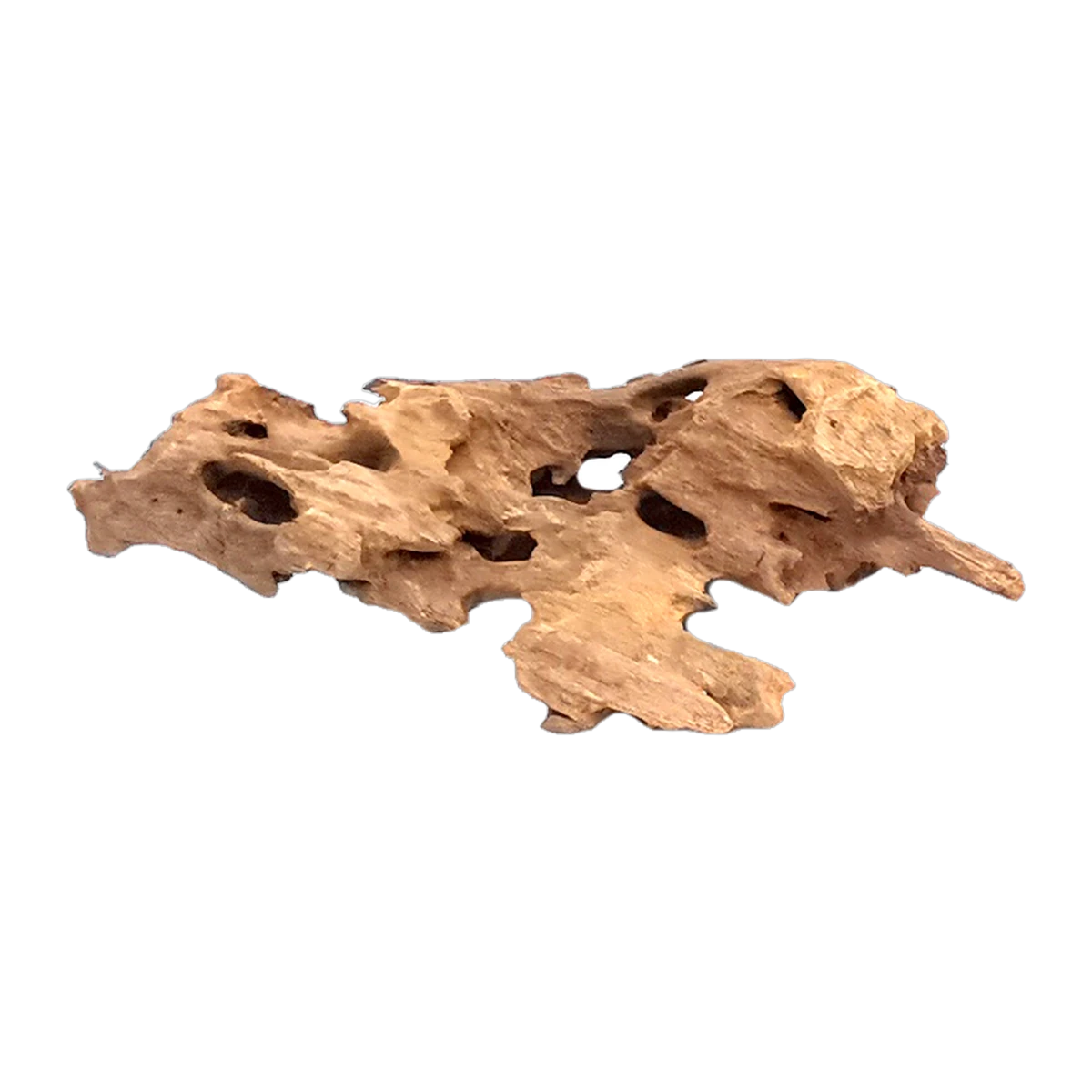 Bioscape Shrimp Wood Medium