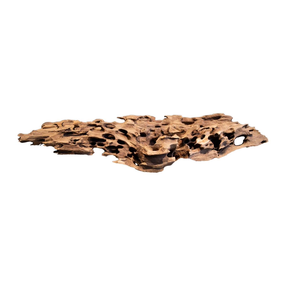 Bioscape Shrimp Wood XL