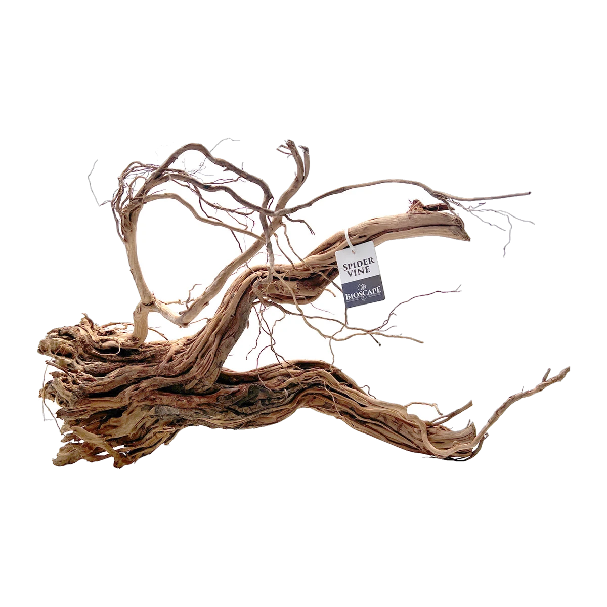 Bioscape Spider Vine 20kg
