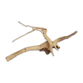 Bioscape Spider Wood Small 20 - 30cm 20 Pieces