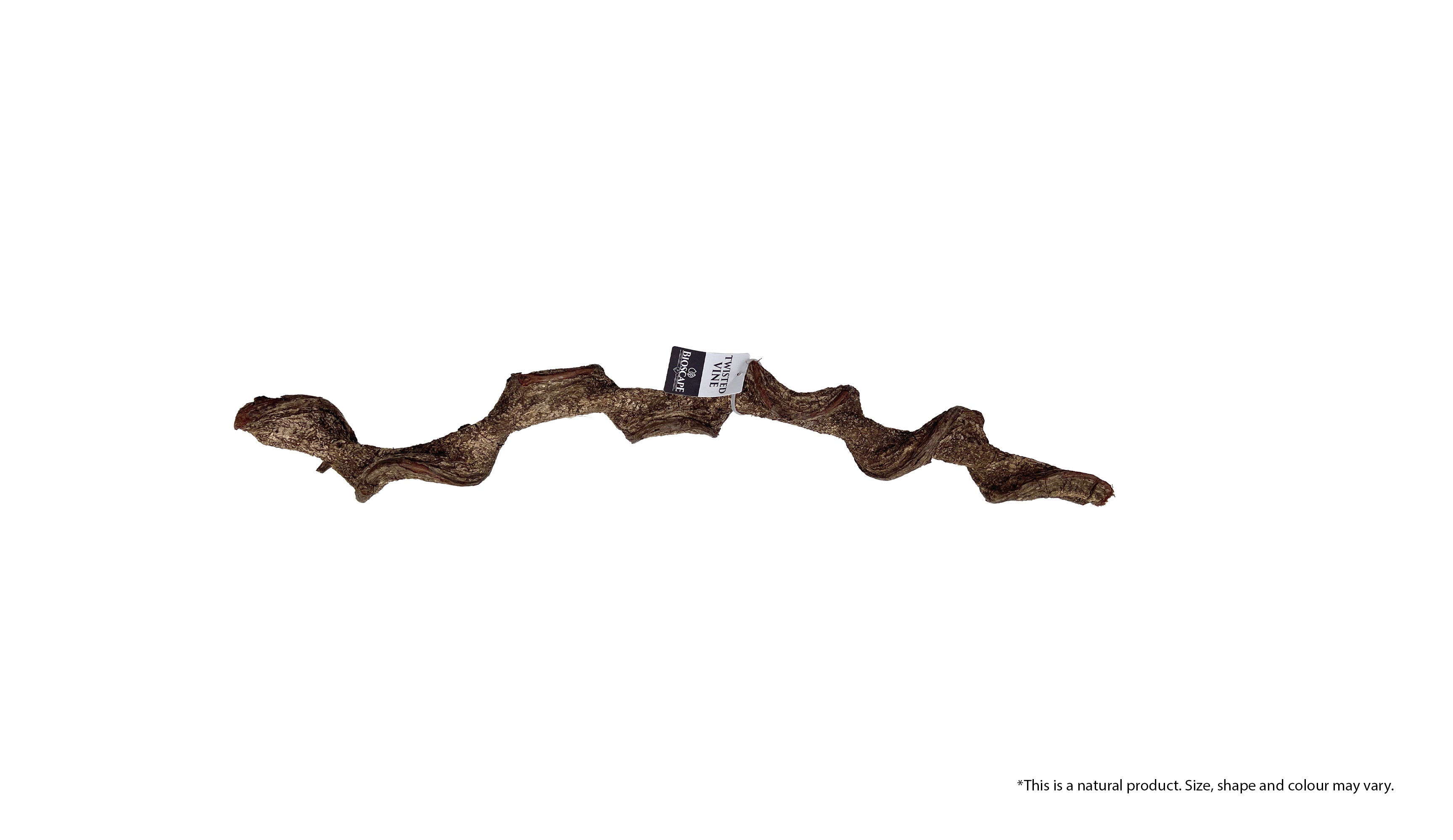 Bioscape Twisted Vine 60cm