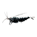 Black Fish Bone Shrimp