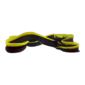 Black Ribbon Eel | Rhinomuraena quaesita