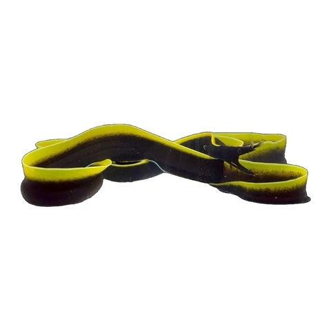 Black Ribbon Eel | Rhinomuraena quaesita