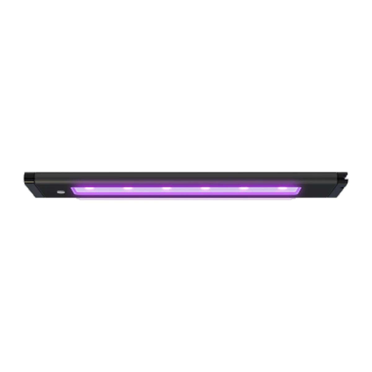 Blade Glow Actinic 12in (30.74cm) 20w
