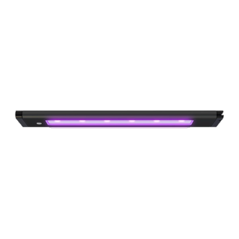 Blade Glow Actinic 12in (30.74cm) 20w