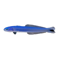 Blue Gudgeon Dartfish | Ptereleotris heteroptera