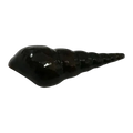 Burrowing Snail