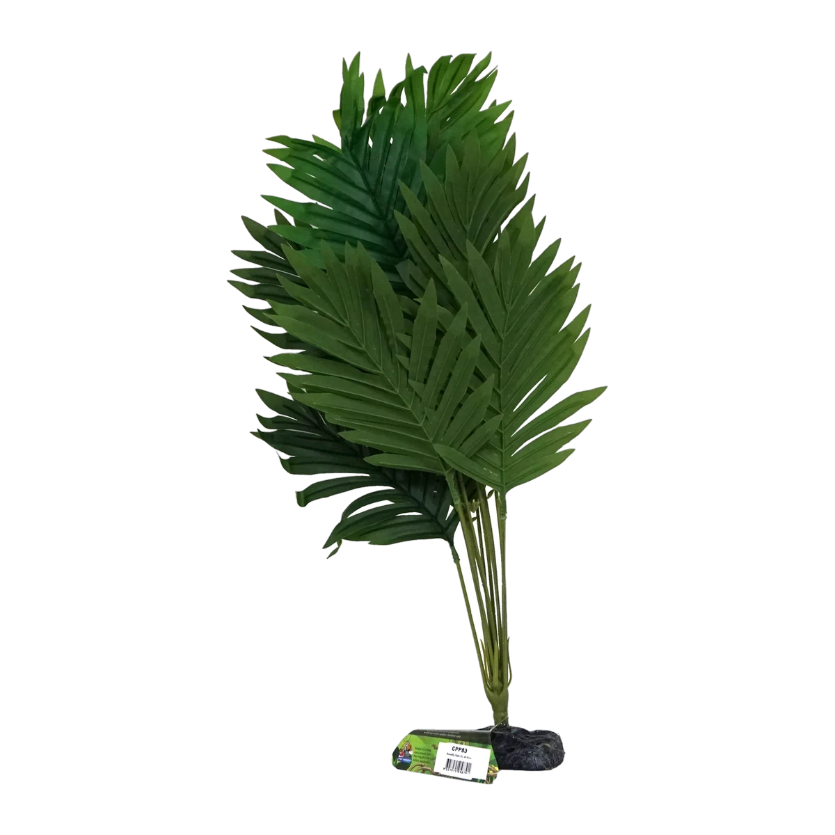 Butterfly Palm XL 45 - 50cm