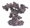 Life Rock Reef Tree Arches Kit