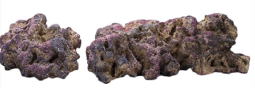 Life Rock Shelf Rock 40lb (18kg)