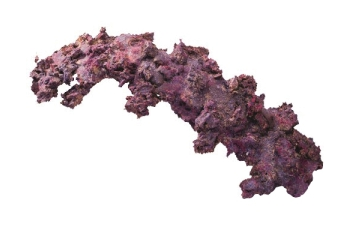 Life Rock Arch XL 24"