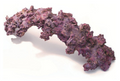 Life Rock Arch Mega 36"