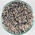 Eco-Complete Cichlid Sand 20lb (9.072kg)