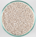 CaribSea Arag-Alive Live Reef Sand