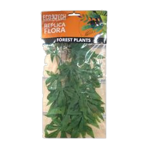 Eco Tech Abutilon
