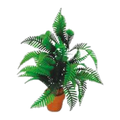 Eco Tech Desert Fern 20cm