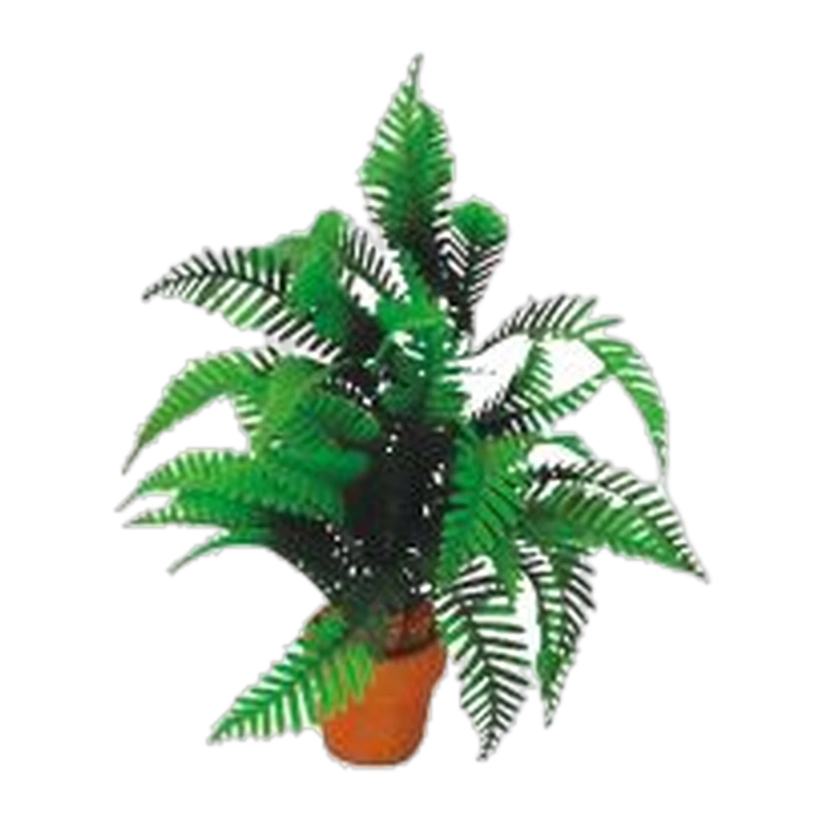 Eco Tech Desert Fern 20cm